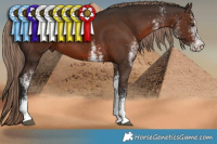 Horse Color:White Spotted Liver Chestnut 