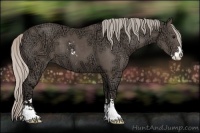 Horse Color:Silver Black Ice Sabino 