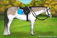 Horse Color:Bay Roan Dun Splash Rabicano