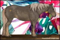 Horse Color:Chocolate Palomino 