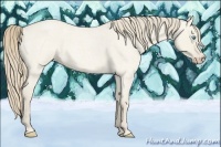 Horse Color:Smoky Creme Roan Dun