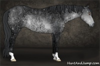 Horse Color:Brown Chinchilla Ice Rabicano