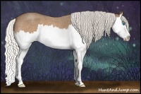 Horse Color:Silver Buckskin Roan Splash 