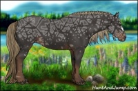 Horse Color:Liver Chestnut Ice 