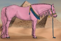 Horse Color:Watercolor Liver Chestnut 