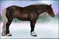 Horse Color:Silver Brown Ice Sabino Rabicano