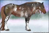 Horse Color:White Spotted Liver Chestnut Rabicano 