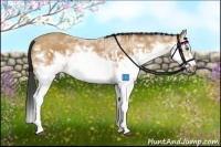 Horse Color:Bay Splash Frame  and Bay Splash Frame 