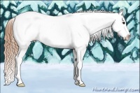 Horse Color:Smoky Black Tobiano Varnish 