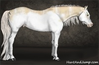 Horse Color:Silver Classic Champagne Ice Dun Splash Frame