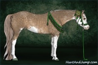 Horse Color:Chocolate Palomino Sabino Rabicano