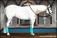 Horse Color:Amber Cream Champagne Splash Tobiano Frame 