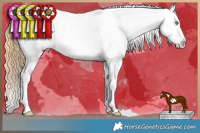 Horse Color:Amber Cream Champagne Splash Tobiano Frame Varnish
