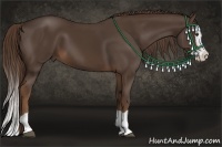 Horse Color:Liver Chestnut Splash 