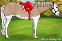 Horse Color:Silver Buckskin Roan Splash 