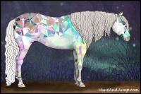 Horse Color:Silver Buckskin Roan Splash 