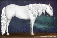 Horse Color:Silver Perlino Splash Tobiano 