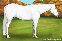 Horse Color:Perlino Sabino  and Perlino Sabino 