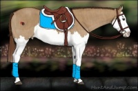 Horse Color:Red Dun Splash Brindle