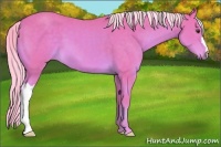 Horse Color:Watercolor Palomino