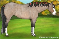 Horse Color:Bay Roan Dun Splash 