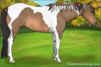 Horse Color:Buckskin Roan Tobiano 