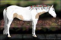 Horse Color:Buckskin Dun Splash Tobiano Rabicano