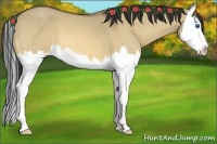 Horse Color:Buckskin Roan Dun Splash