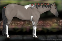 Horse Color:Grullo Tobiano 