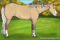 Horse Color:Silver Buckskin Dun Splash Rabicano 