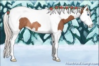 Horse Color:Silver Bay Splash Tobiano Rabicano 