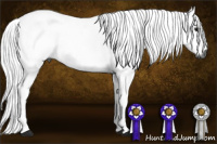 Horse Color:Gray Bay Dun Tobiano 