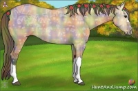 Horse Color:Nacre Plaid  Bay Ice Dun 