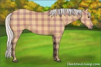 Horse Color:Plaid  Silver Bay 