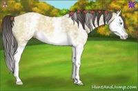Horse Color:White Spotted Sable Cream Champagne Dun Splash 