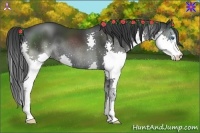 Horse Color:Black Splash 
