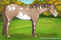 Horse Color:White Spotted Black Pearl Frame