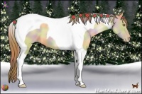 Horse Color:Nacre Red Dun Pearl Tobiano 