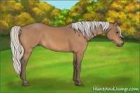 Horse Color:Silver Buckskin 