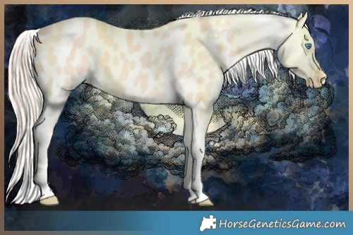 Horse Color:Perlino Appaloosa  Brindle