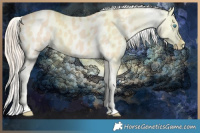 Horse Color:Perlino Blanket Brindle