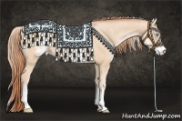 Horse Color:White Spotted Buckskin Pearl 