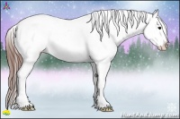 Horse Color:Grullo Sabino Appaloosa 