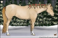 Horse Color:Chestnut Pearl Rabicano
