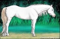 Horse Color:Amber Cream Champagne Dun Appaloosa