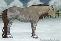 Horse Color:Liver Chestnut Ice Rabicano 