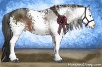 Horse Color:White Spotted Liver Chestnut Sabino
