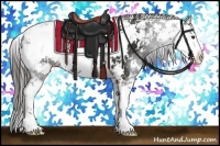 Horse Color:Liver Chestnut Sabino
