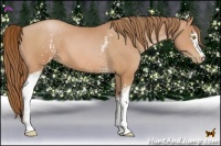 Horse Color:White Spotted Bay Pearl