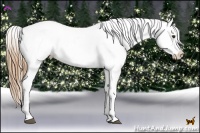 Horse Color:Grullo Pearl Appaloosa Rabicano